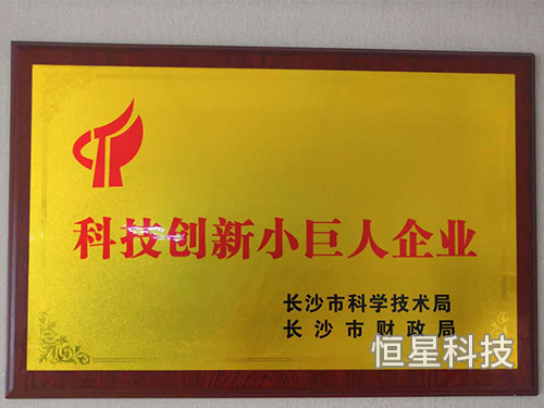 科技创新小巨人企业